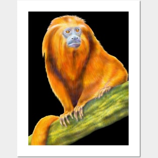 Golden Lion Tamarin Posters and Art